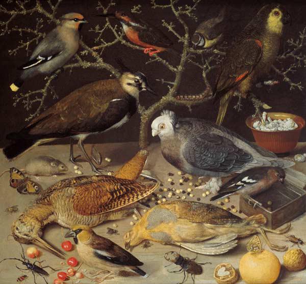 Still Life of Birds and Insects