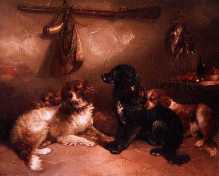 After the Shoot - A Quartet of Spaniels from George Armfield