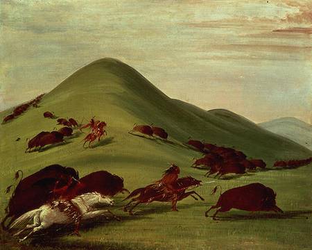 The Buffalo Hunt from George Catlin