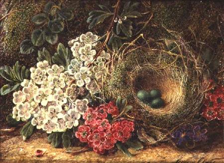 Still life with bird's nest from George Clare