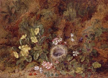 Still Life with Bird's Nest and Wild Flowers from George Clare
