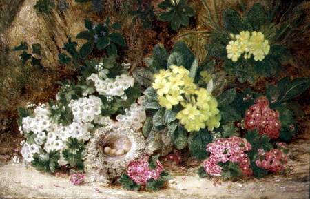 Still Life with Primroses from George Clare