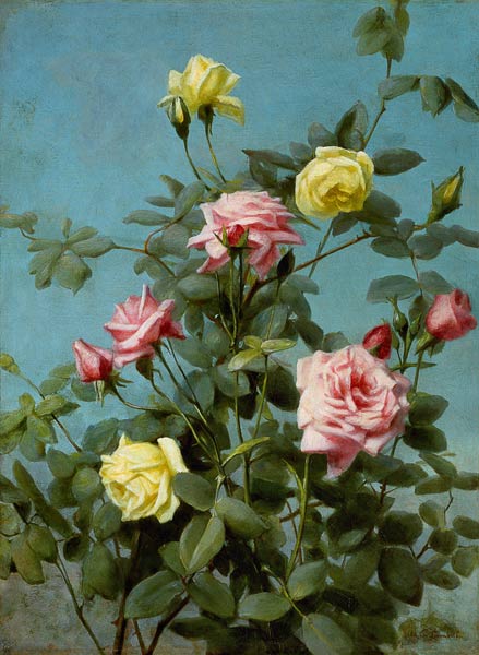 Rosen, rosa und gelb. from George Cochran Lambdin