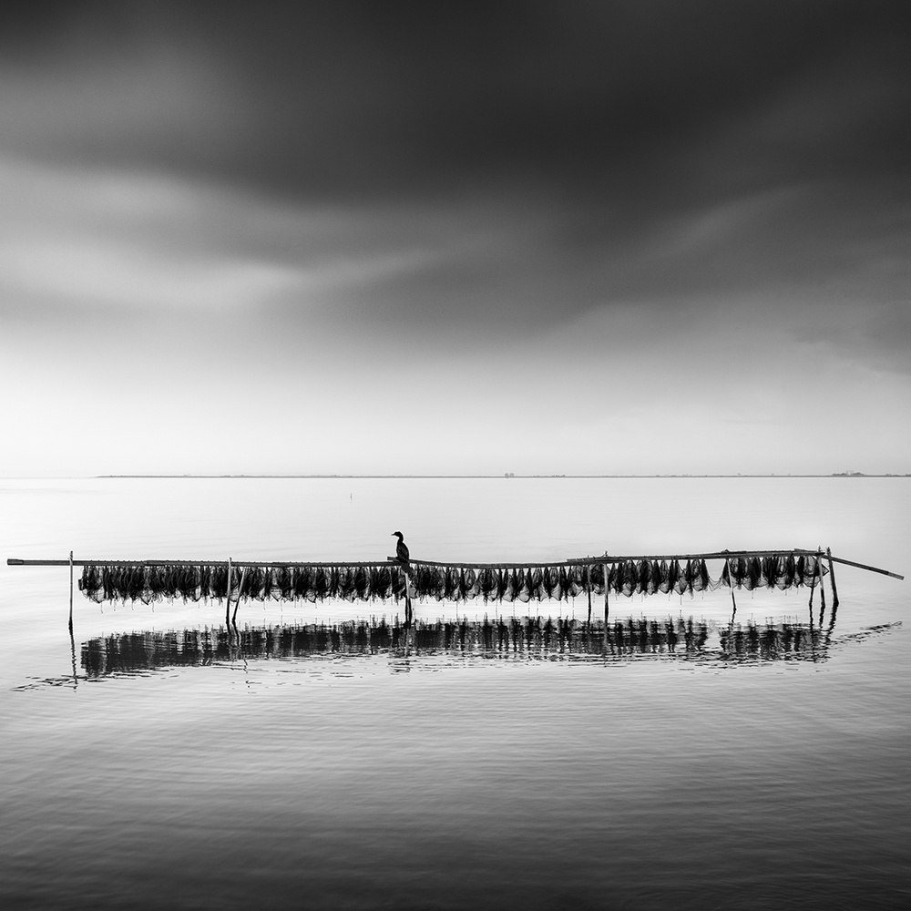 Allein from George Digalakis