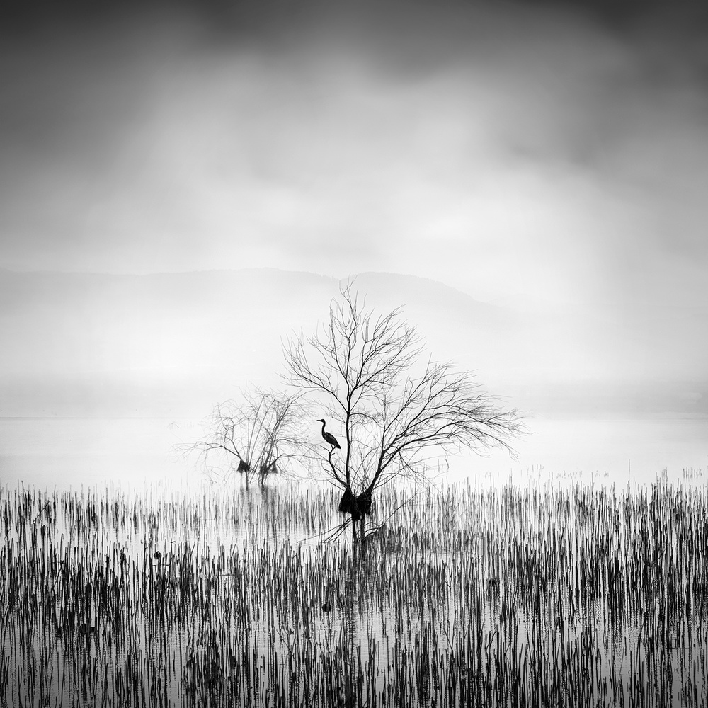Morgenlied from George Digalakis