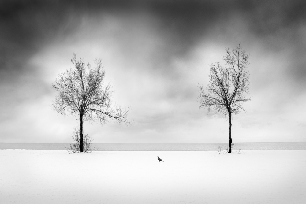 Schnee am Strand from George Digalakis