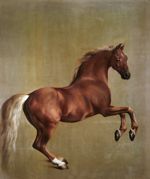 "Whistlejacket" from George Stubbs