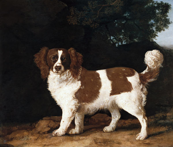 Fanny, the Favourite Spaniel of Mrs. Musters, Standing in a Wooded Landscape from George Stubbs