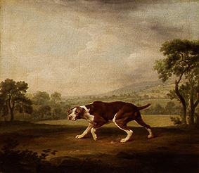 Hühnerhund. from George Stubbs