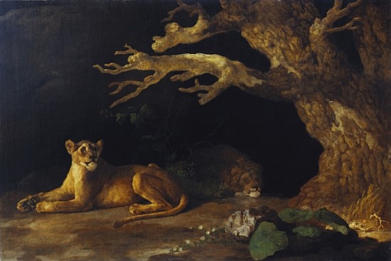 Lioness and Cave from George Stubbs