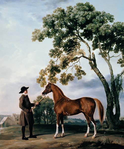 Pferdepfleger mit dem Araberpferd Lord Grosvenor from George Stubbs