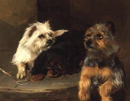 Give a Poor Dog a Bone from George W. Horlor