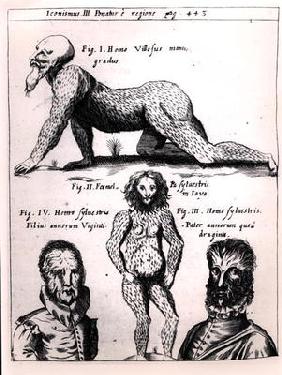 'Hairy man and Wild man', illustration from 'Physica Curiosa' by Gaspar Schott (1608-66) (engraving)