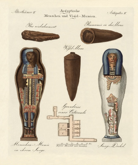 Egyptian mummies from German School, (19th century)