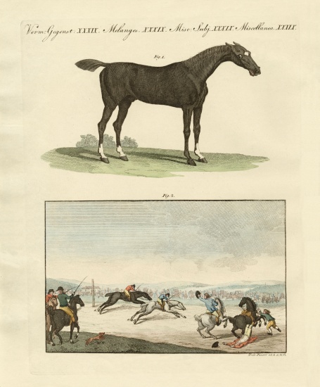 Horse races in England from German School, (19th century)