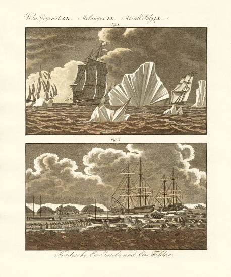 Ice fields and ice islands from German School, (19th century)