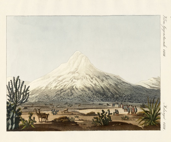 The Chimborazo in South America from German School, (19th century)