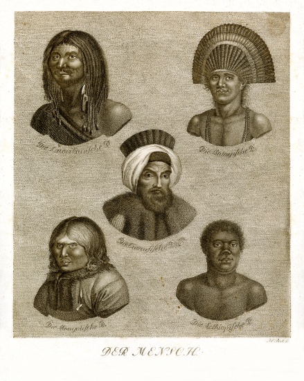 The human from German School, (19th century)