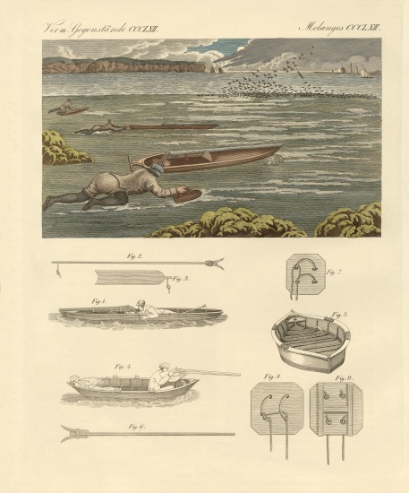The hunting of waterbirds on the coasts of England from German School, (19th century)