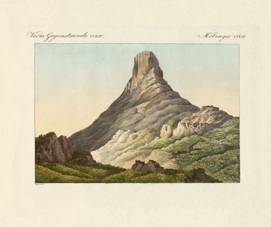 The skuir on the Egg Island from German School, (19th century)