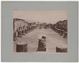 Pompei: Basilica, edifizio ove si rendeva la giustizia, No. 5020
