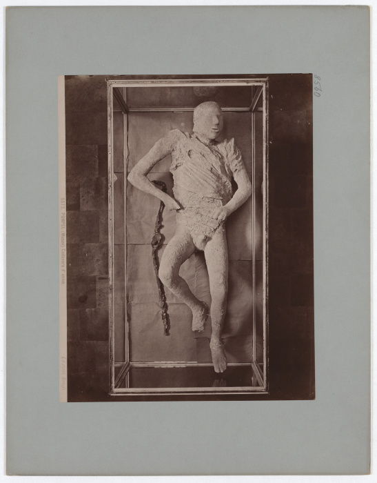 Pompei: (Museo) Cadavere duomo, No. 5573 from Giacomo Brogi