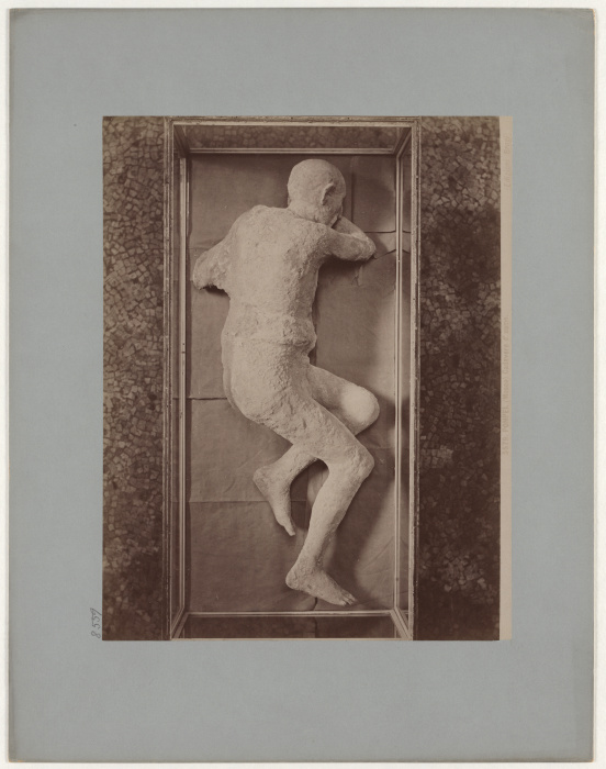 Pompei: (Museo) Cadavere duomo, No. 5579 from Giacomo Brogi