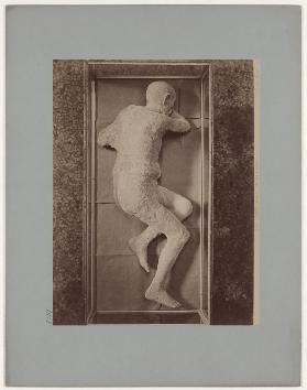 Pompei: (Museo) Cadavere duomo, No. 5579