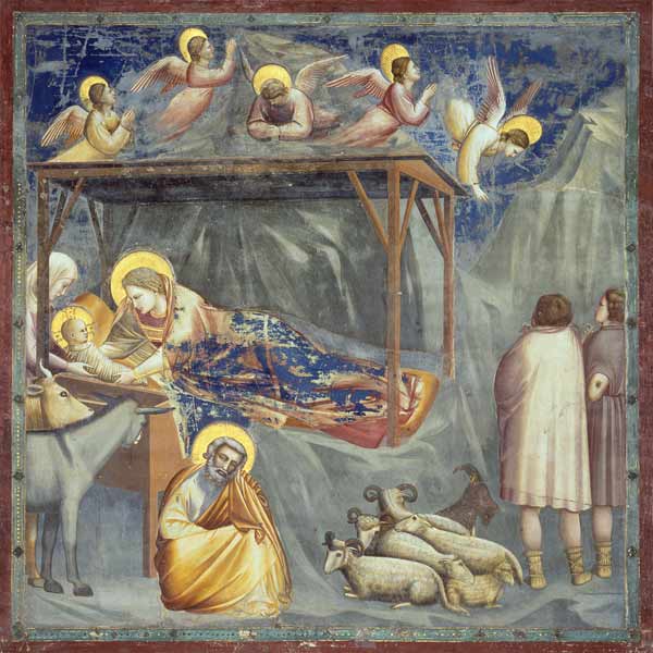 Giotto, Christi Geburt from Giotto (di Bondone)