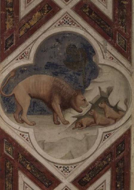 Lion with his cubs from Giotto (di Bondone)