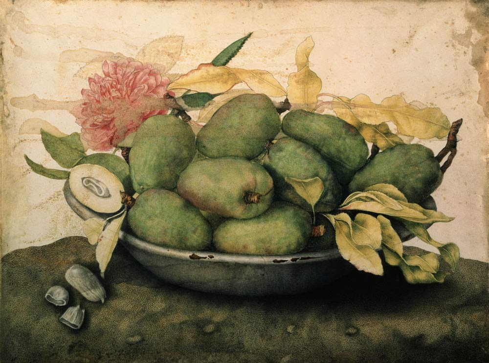 G.Garzoni / Bowl with Plums.../ c.1650 from Giovanna Garzoni
