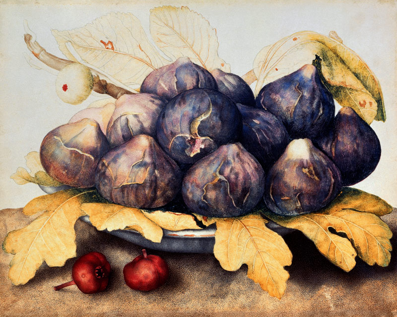 Figs from Giovanna Garzoni
