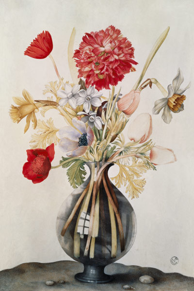 Vase of Flowers with Daffodils, Carnations and Anemones from Giovanna Garzoni