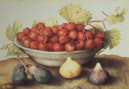 A Bowl of Cherries and Figs from Giovanna Garzoni