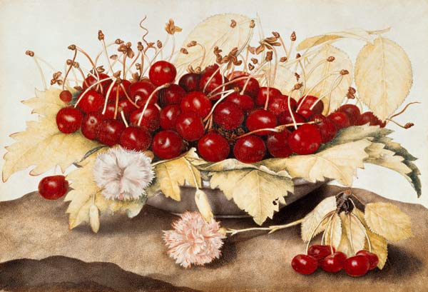 G.Garzoni / Cherries and carnations. from Giovanna Garzoni
