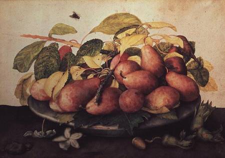 Pears with Hawthorns from Giovanna Garzoni