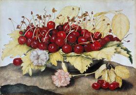 Cherries and Carnations (w/c on parchment)