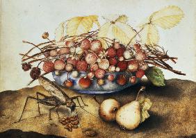 G.Garzoni, Schale mit Erdbeeren