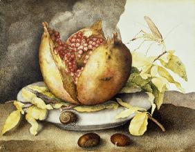 G.Garzoni, Teller mit Granatapfel