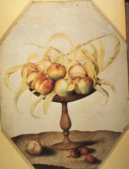 Wooden Fruit Bowl of Apples from Giovanna Garzoni