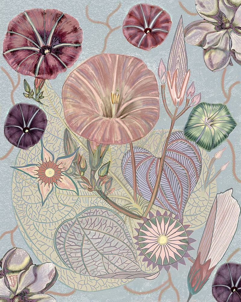 Vintage Wildblumen.png from giovanna nicolo