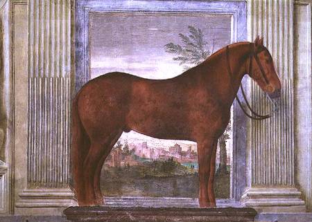 Sala dei Cavalli, detail showing a portrait of a chestnut horse from the stables of Ludovico Gonzaga from Giulio Romano