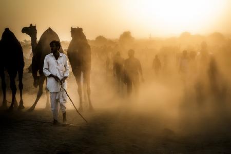 Mercato dei Camelli in Pushkar