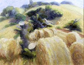 Harvest, 1995 (oil on canvas) 