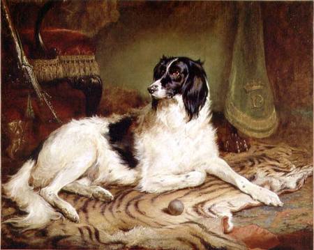 'Minna', a favourite dog of James, Marquess of Dalhousie from Gourlay Steell
