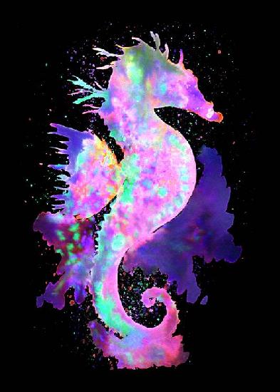 Magic Seahorse Space Nebula