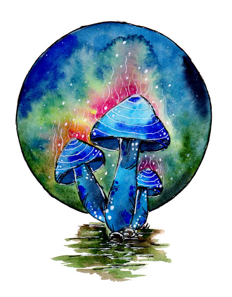 Toxic Blue Mushrooms from Sebastian  Grafmann