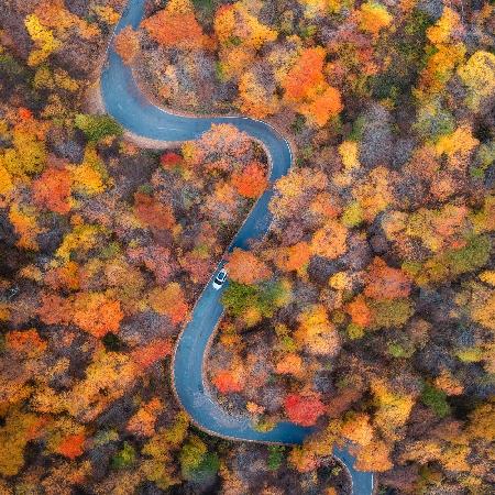 Vermont: Durch den Herbst