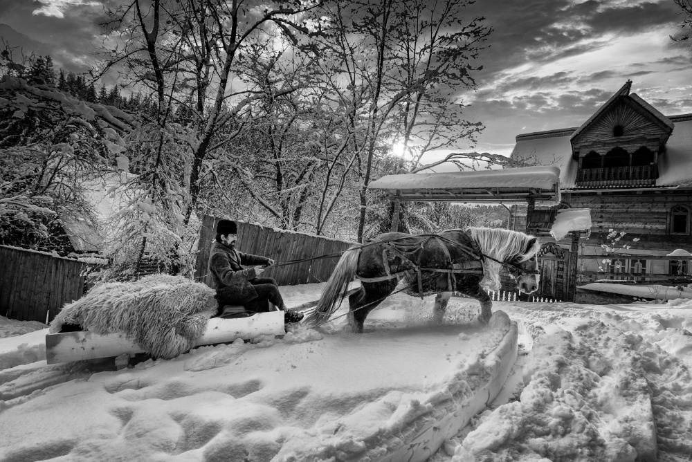 Harter Winter from Grigore Roibu