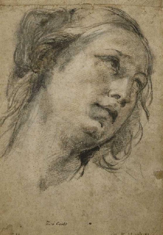 Kopf einer Frau, nach rechts gewandt. from Guido Reni